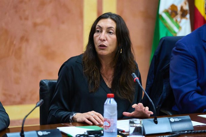 La consejera de Inclusión Social, Juventud, Familias e Igualdad, Loles López, en comisión parlamentaria