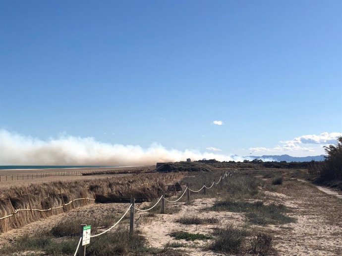 Incendis.- La investigació apunta al fet que l'incendi del Saler ha sigut intencionat