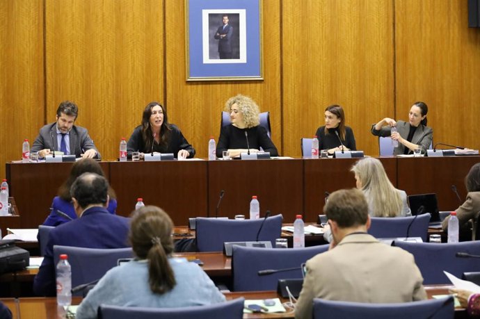 La consejera de Inclusión Social, Juventud, Familias e Igualdad, Loles López, ha anunciado en comisión parlamentaria una "reforma estructural" de los centros de valoración y orientación de personas con discapacidad.