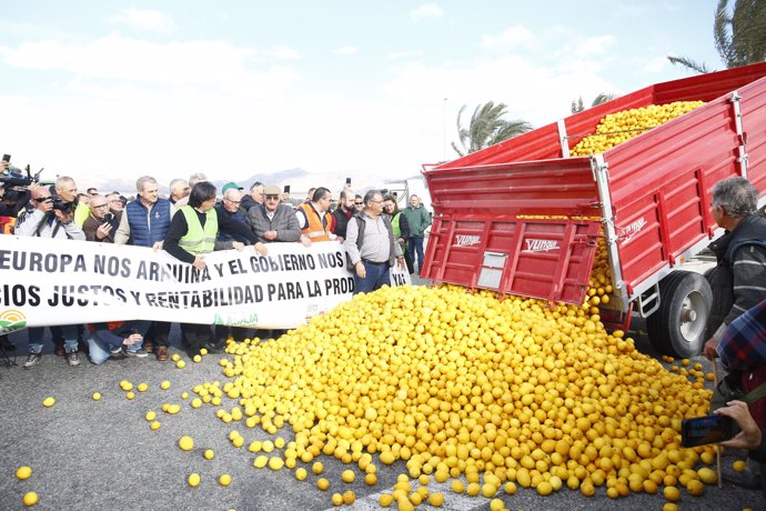 Un tractor llega al Ministerio de Agricultura durante una protesta de agricultores y ganaderos
