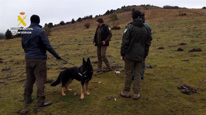 La Guardia Civil en La Rioja intensifica los controles en la búsqueda de cebos envenenados