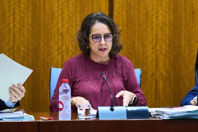 La consejera de Salud y Consumo, Catalina García, en la comisión parlamentaria del 14 de febrero de 2014.