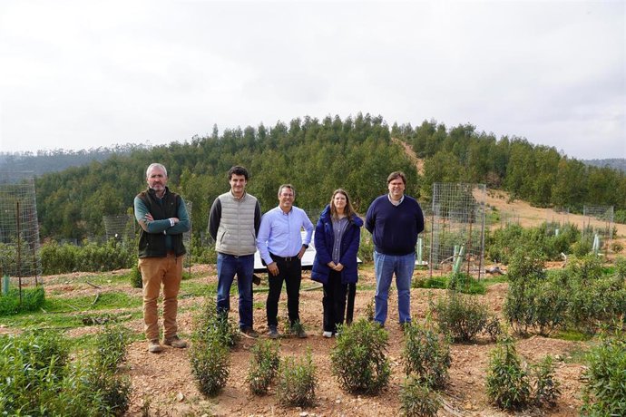 Surtruck compensa parte de su huella de carbono con la reforestación de una finca en la provincia de Huelva
