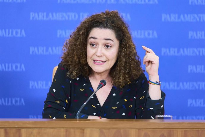La portavoz del Grupo Por Andalucía, Inmaculada Nieto, este miércoles en rueda de prensa. 