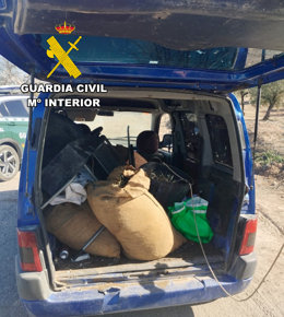 Aceituna recuperada en una de las actuaciones de la Guardia Civil.