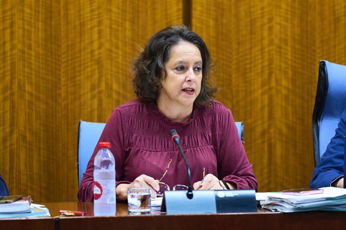 El consejero de Salud, Catalina García, en la comisión parlamentaria del 14 de febrero de 2024.