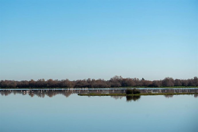 Imágenes del Parque Natural de Doñana, a 24 de enero de 2024, en Huelva, Andalucía