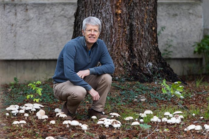 Archivo - Peter Pearman, investigador Ikerbasque de la UPV/EHU y asociado al BC3