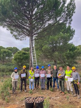 Martínez (4 dcha.) con los alumnos y profesores de la II Escuela de Piñeros, ante un pino piñonero en el monte público Las Monteras, en Villanueva del Rey.