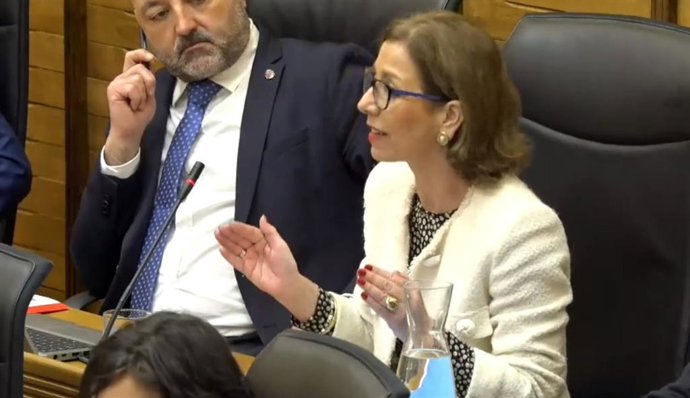 Intervención de la concejala de Servicios Sociales del Ayuntamiento de Gijón, Ángeles Fernández-Ahúja, en el Pleno Municipal.
