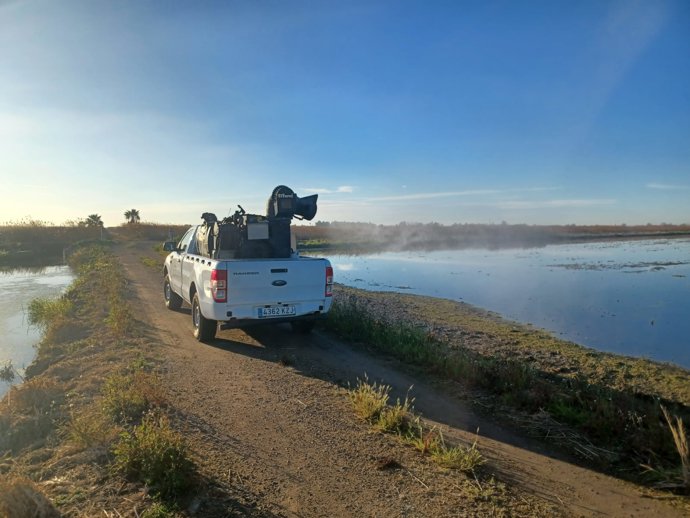 La Diputación activa los tratamientos para la prevención en la lucha contra los mosquitos