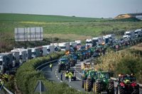 Detenido un conductor en Los Palacios (Sevilla) por intentar agredir con un palo a un agricultor que protestaba