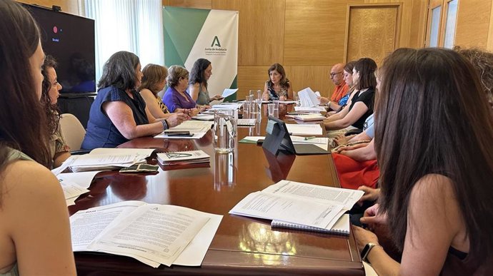 Archivo - Botella (centro) preside el Comité Territorial de Salud en materia de violencia de género en una imagen de archivo.