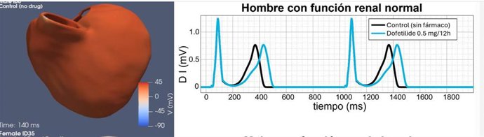 La UPV desarrolla una metodología de simulación computacional para identificar la dosis de medicamentos óptima para prevenir arritmias