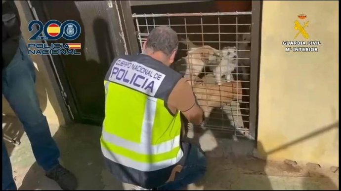 La Policía Nacional, con la colaboración de la Guardia Civil y su unidad especializada del Seprona, ha detenido en el municipio de Telde (Gran Canaria) a un hombre de 58 años sin antecedentes policiales como presunto autor de un delito de maltrato animal