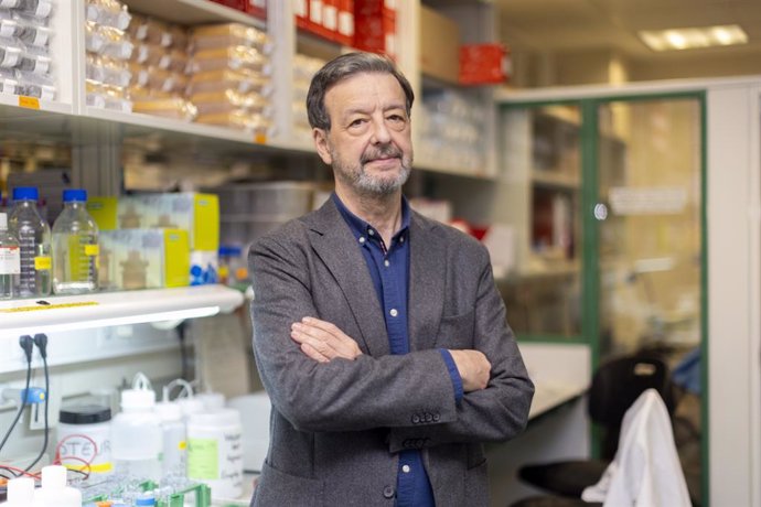 Luis Álvarez-Vallina, jefe de la Unidad de Investigación Clínica en Inmunoterapia del Cáncer H12O-CNIO.