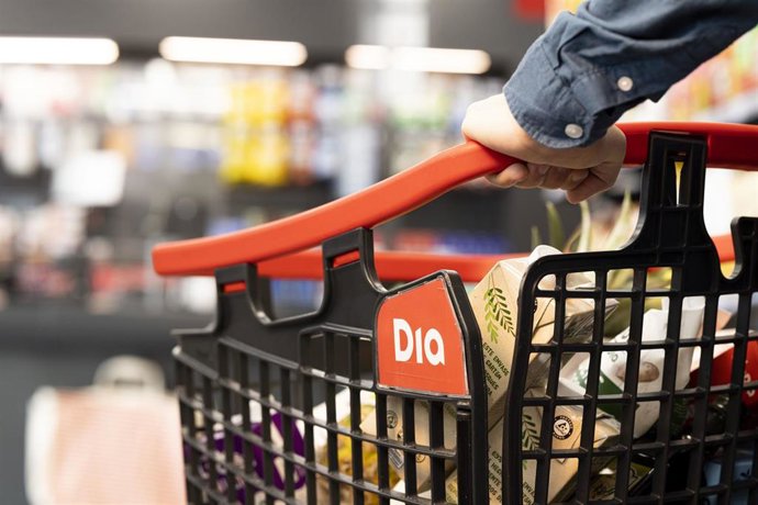 Cesta de la compra de DIA