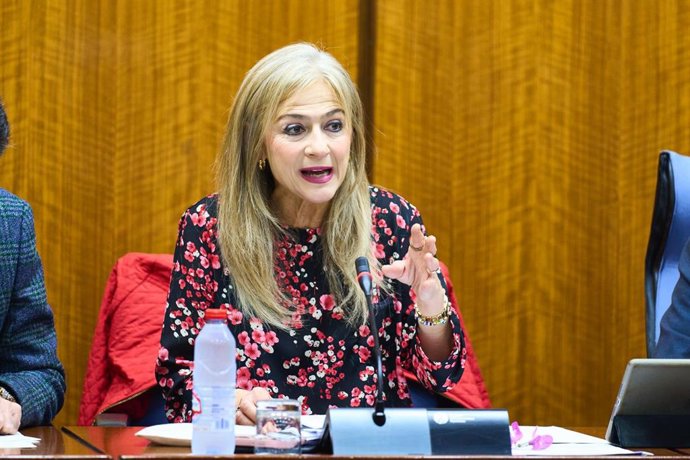 La consejera de Desarrollo Educativo y Formación Profesional, Patricia del Pozo, en la comisión parlamentaria del 15 de febrero de 2024.