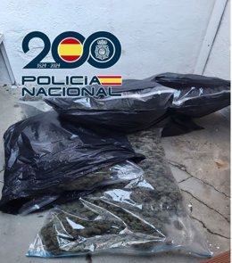 Bolsas de marihuana incautadas