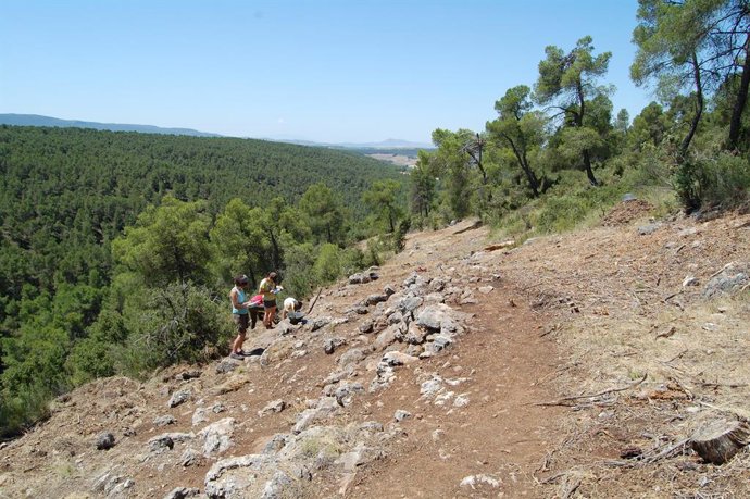 Trabajos de excavación en uno de los tramos