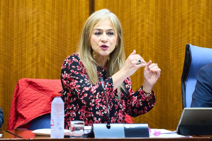 La consejera de Desarrollo Educativo y Formación Profesional, Patricia del Pozo, en la comisión parlamentaria del 15 de febrero de 2024.