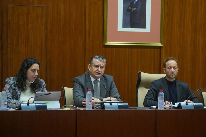 El consejero de Presidencia, Interior, Diálogo Social y Simplificación Administrativa, Antonio Sanz, este jueves en el Parlamento