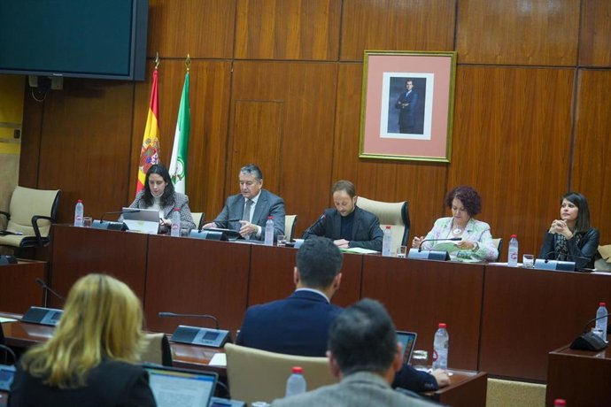 El consejero de la Presidencia, Interior, Diálogo Social y Simplificación Administrativa, Antonio Sanz, comparece en comisión parlamentaria.