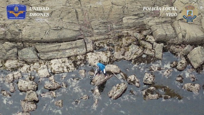Individuo sorprendido extrayendo erizo de mar ilegalmente en una playa de Vigo