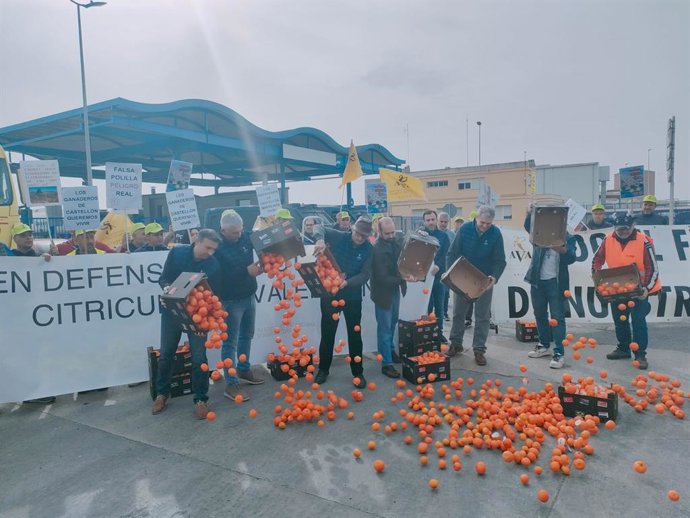 Agricultors tirant les mandarines