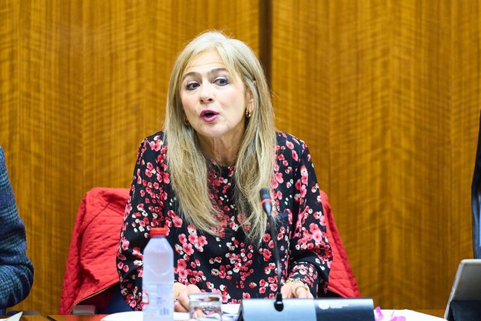 La consejera de Desarrollo Educativo y Formación Profesional, Patricia del Pozo, en la comisión parlamentaria del 15 de febrero de 2024.