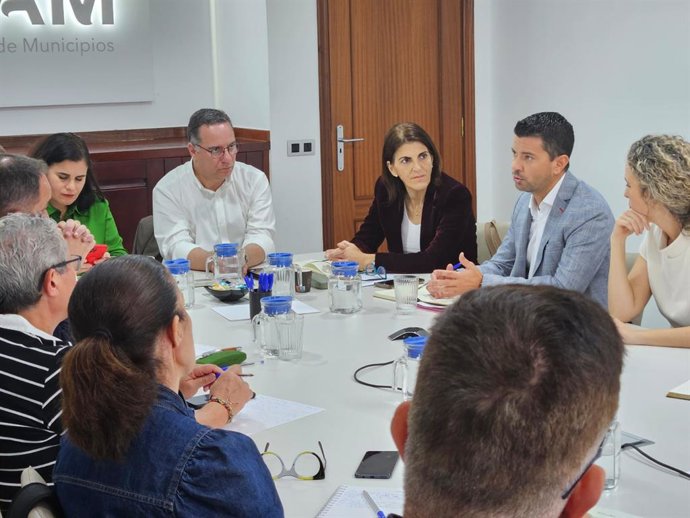 El consejero de Educación, Formación Profesional, Actividad Física y Deportes del Gobierno de Canarias, Poli Suárez, mantuvo este jueves un encuentro con el Comité Institucional de la Federación Canaria de Municipios (FECAM)