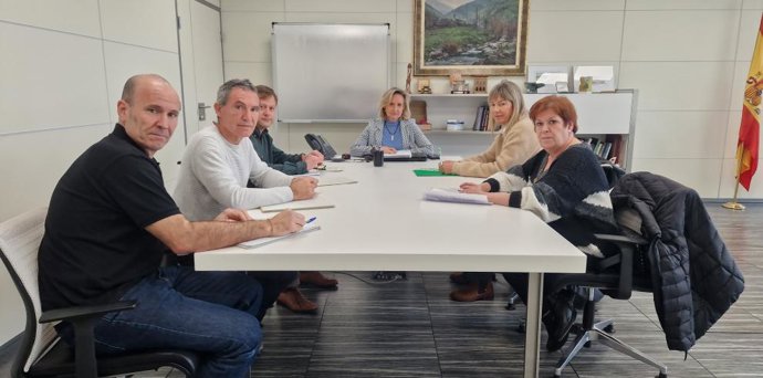 Reunión de la gerente del Salud, Ana Castillo, y de los responsables de Recursos Humanos del Salud con representantes del sindicato SATSE