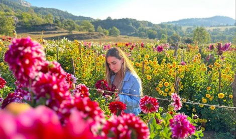 Comunicados Empresas