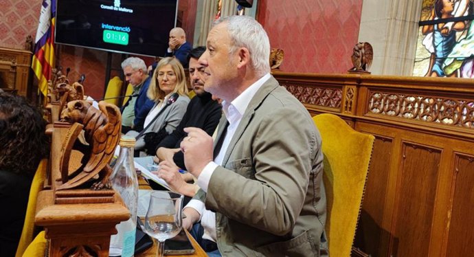 El portavoz de MÉS per Mallorca, Jaume Alzamora, en un pleno del Consell.