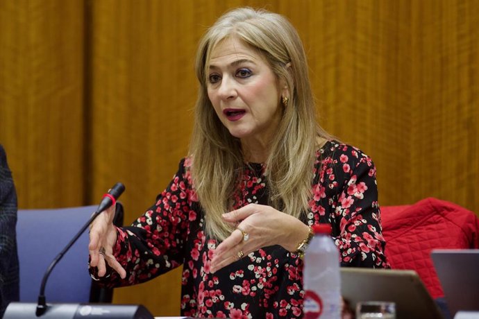 La consejera de Desarrollo Educativo y Formación Profesional de la Junta de Andalucía, Patricia del Pozo, comparece en comisión parlamentaria.