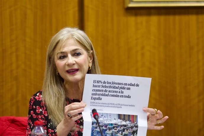 La consejera de Desarrollo Educativo y Formación Profesional, Patricia del Pozo, durante su comparecencia en el Parlamento.