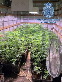 A prisión el presunto líder de una organización de tráfico de hachís en Rota (Cádiz) con 8.500 kilos incautados