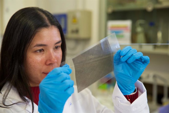 Investigadores de la UA trabajan en el desarrollo de un envase activo para la conservación de frutas realizado con biomasa procedente de huesos de aceituna