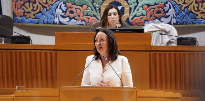 La consejera de Bienestar Social y Familia, Carmen Susín intervienen en la sesión de control al Ejecutivo en el Pleno de las Cortes de Aragón