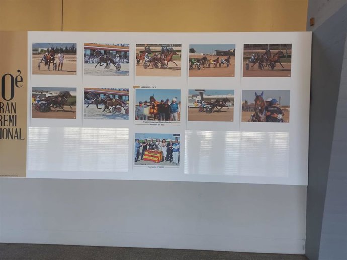 Plafón en Son Pardo