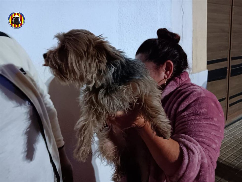 Rescatan a un perro que había quedado atrapado en la zona del motor de un vehículo