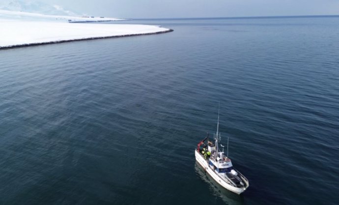 Con el buque MS Farm, los investigadores de Bremen tomaron muestras del fondo marino alrededor de Svalbard varias veces y en diferentes épocas del año.