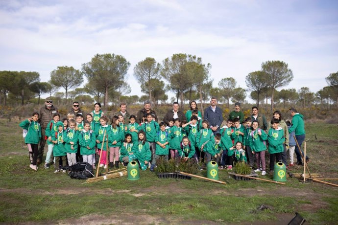 Nueva plantación en la zona afectada por el incendio de Las Peñuelas de 2017, en el entorno de Doñana (Huelva).