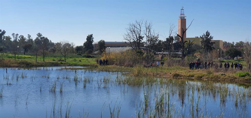 Archivo - Imagen de recurso de un humedal junto a la UPO