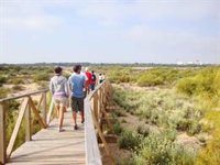 La Junta somete a información pública la declaración de Zonas Especiales de Conservación del litoral de Huelva