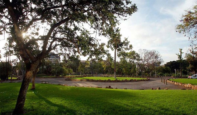 El Ayuntamiento de Santa Cruz de Tenerife, a través del área de Servicios Públicos, ha procedido durante la mañana de este sábado a cerrar el parque de La Granja tras la caída de un árbol.