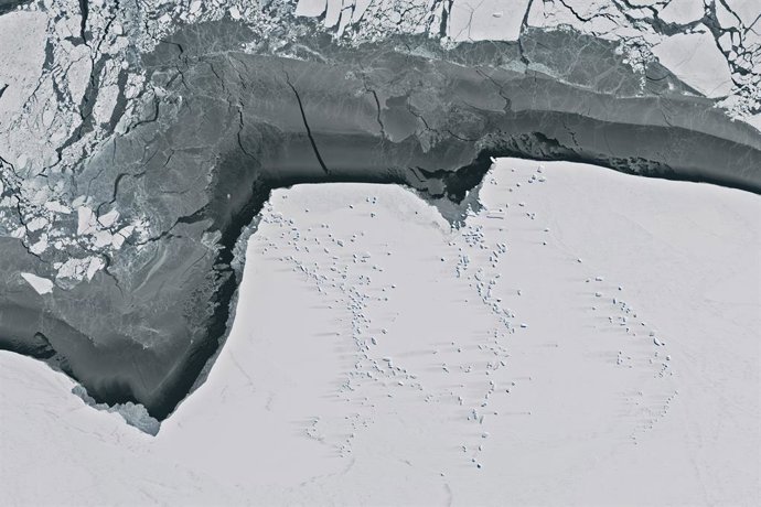 Archivo - October 18, 2023 - East Antarctica - A wide view of a subset of the icebergs trapped in fast ice that day east of the West Ice Shelf (not pictured). The dark, linear areas on the lee side of the bergs are where wind has blown away the snow to 