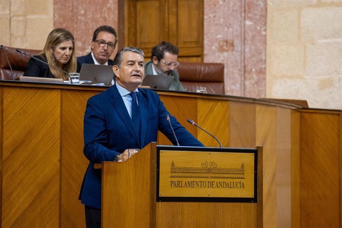 Archivo - El consejero de la Presidencia, Antonio Sanz, en una imagen de archivo en el Pleno del Parlamento. 