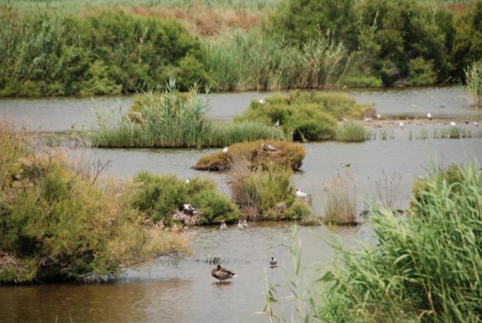 La Generalitat elige la Marjal dels Moros para estudiar la reducción del impacto de los fenómenos meteorológicos extremos