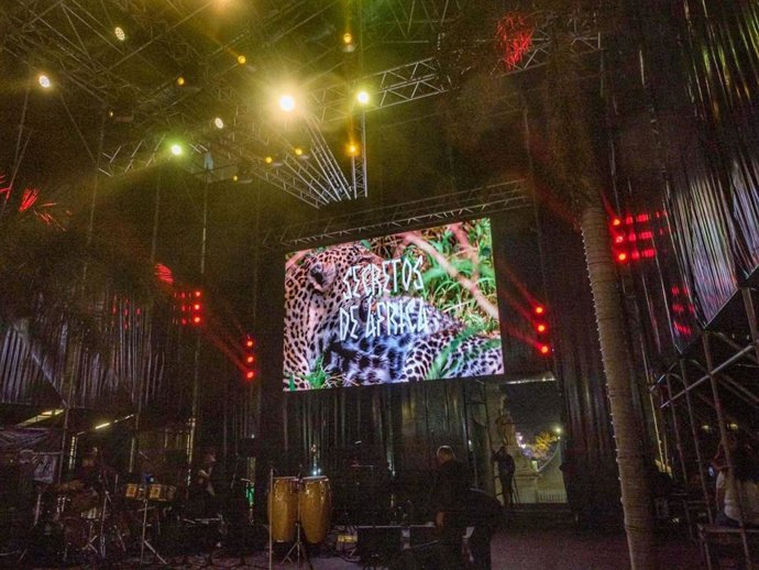 'Secretos De África' Será El Tema De La Próxima Edición Del Carnaval De Santa Cruz De Tenerife, Que Se Celebrará Entre El 31 De Enero Y El 9 De Marzo De 2025. Este Es El Resultado De La Votación Online Organizada Por El Ayuntamiento Capitalino, A Travé